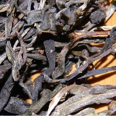 古树普洱茶价格多少钱一斤？