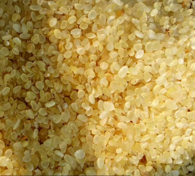 贵州毕节无硫不含糖电烤皂角米